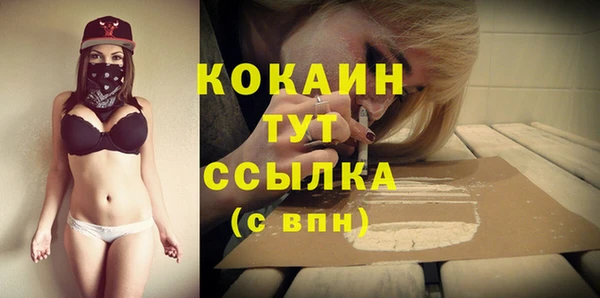 герыч Новозыбков