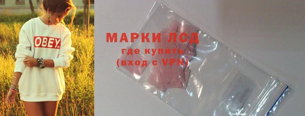 молекула духа Няндома