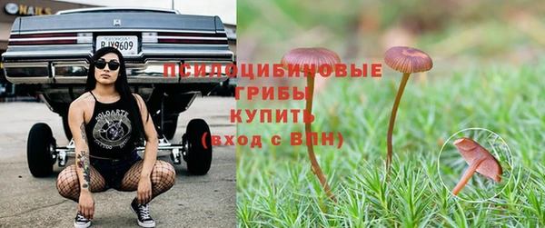 спайс Бабаево