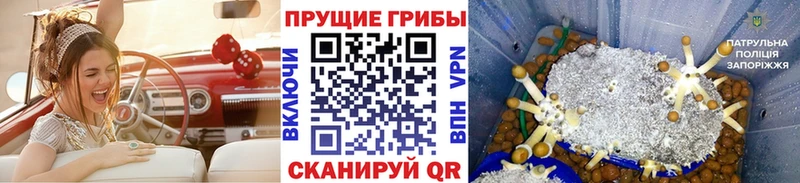 Галлюциногенные грибы ЛСД  купить наркотик  Шлиссельбург 