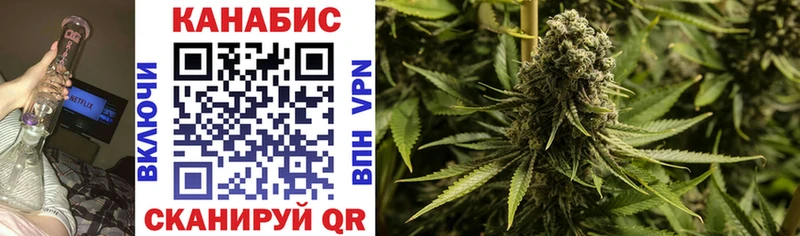 Бошки Шишки SATIVA & INDICA  купить наркотики цена  Шлиссельбург 